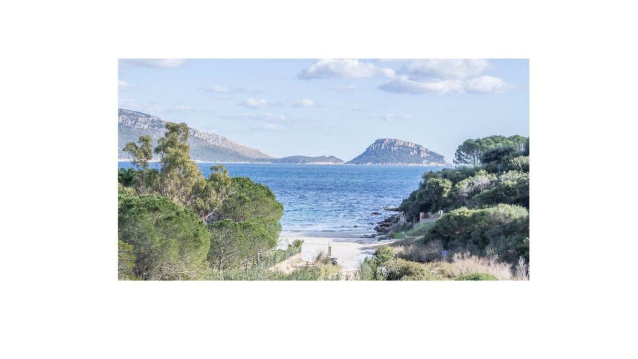 Villa Aranzos Golfo Aranci Exterior foto
